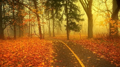 Powered LED best handmade gift for boyfriend